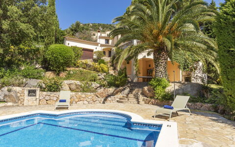 Venecia: Udvej, Landscaping, Estate, Eco Hotel, Villa, Svømmepøl, Flise, Hacienda, Tropics