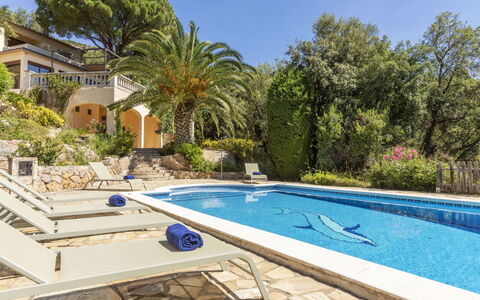 Venecia: Svømmepøl, Udvej, Eco Hotel, Estate, Skygge, Hacienda, Tropics, Villa, Landscaping, Flise