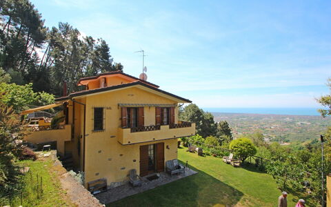 Villa La Collinetta: Himmel, Plante, Bygning, Sky, Ejendom, Vindue, Træ, Land Lot, Hus, Træ