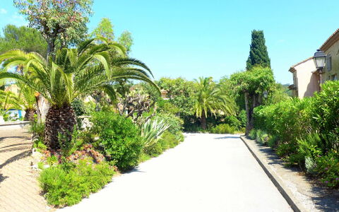 La Croix-Valmer 112: Vegetationen, Ejendom, Have, Ejendom, Træ, Botanisk Have, Walkway, Botanik, Boligområde, Plante