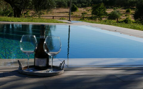 Agriturismo La Pieve: Vand, Svømmepøl, Træ, Fritid, Ferie, Water Feature, Landskab, Plante, Glas, Hus