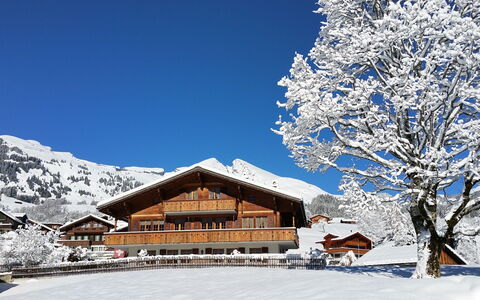 Grindelwald 570: Himmel, Sne, Bygning, Bjerg, Hus, Naturlige Landskab, Hældning, Træ, Plante, Fryser