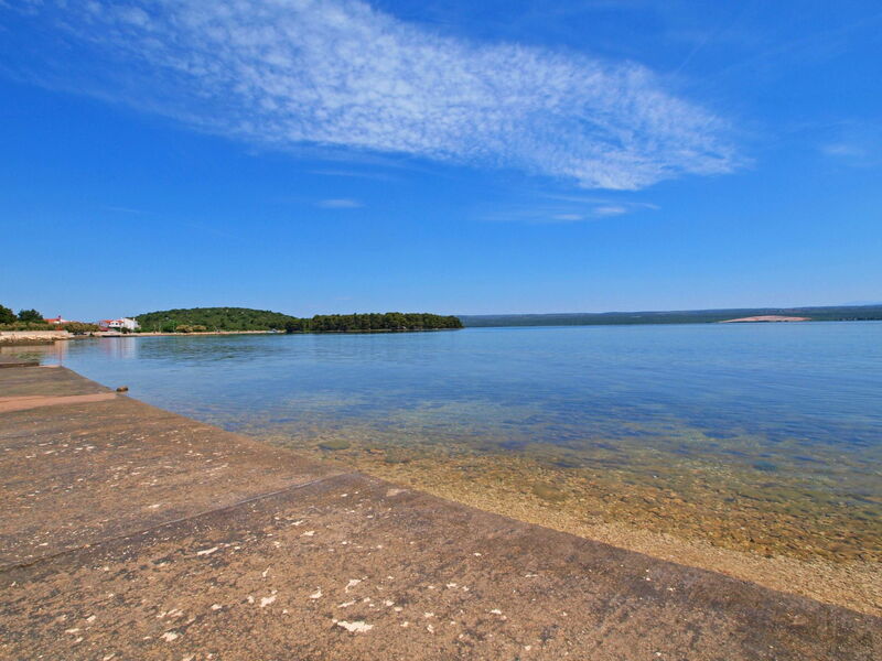 Raslina 102