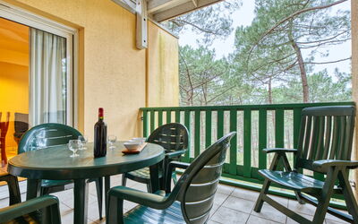 Feriebolig:&nbsp;Les Grands Pins 250.3