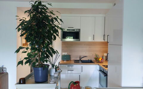 Golf de Chiberta: Blomsterkrukke, Indretning, Stueplante, Cabinetry, Husholdningsapparat, Køkken Apparat, Countertop, Glas, Skuffe, Køkken