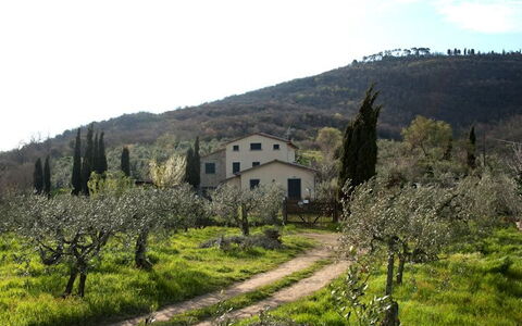 Villa Eleonora: Bjerglandsby, Naturlige Landskab, Ejendom, Hill Station, Landdistrikt, Bakke, Træ, Forår, Highland, Bjerg