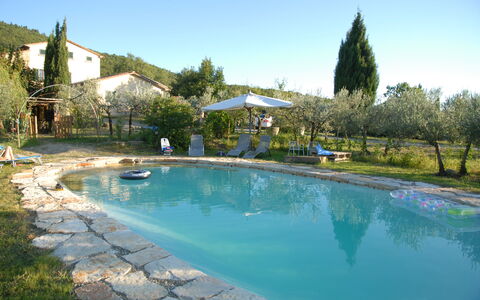 Swimming pool and outdoor view