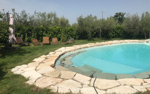 Villa Eleonora: Svømmepøl, Flise, Backyard, Landscaping, Gård, Water Feature, Udvej, Udendørs Møbler