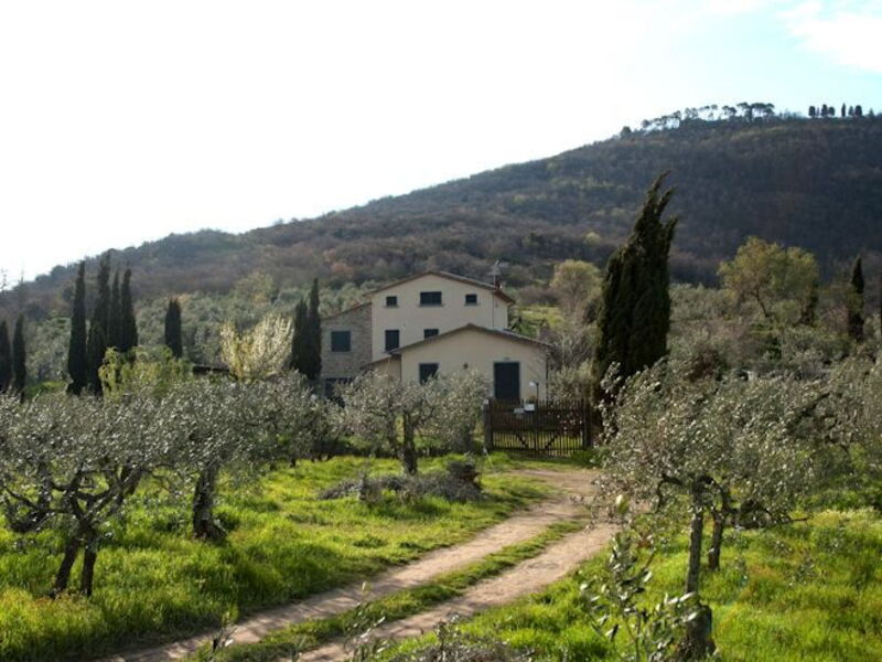 Panoramic view