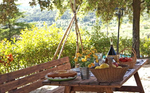 Villa Gelsomino: Bord, Møbel, Backyard, Picnic, Værelse, Træ, Landskab, Udendørs Bord, Udendørs Møbler, Måltid