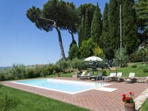 Swimming pool and garden