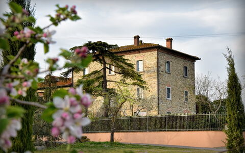 Villa Il Palazzo: Blomst, Plante, Himmel, Sky, Bygning, Vindue, Hus, Kronblad, Græs, Væg