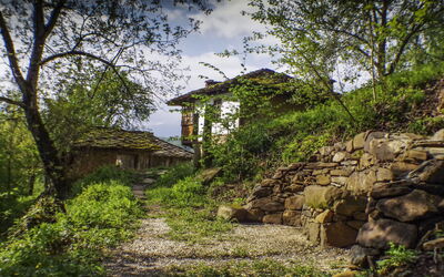 Karashka