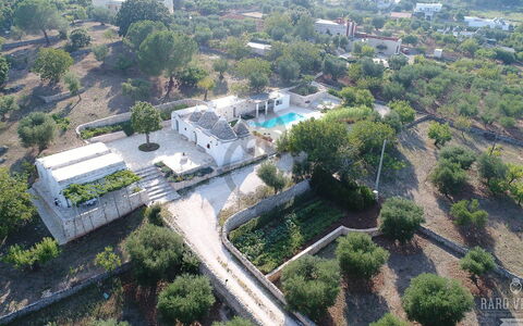 Trullo Oak: Plante, Daytime, Bygning, Træ, Urban Design, Land Lot, Kvarter, Boligområde, Landskab, Ejendom