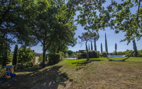 Villa Del Monte: Træ, Græs, Land Lot, Vedplante, Fotografering, Vej, Ejendom, Landskab, Plante, Landdistrikt