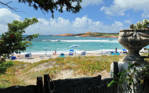 Isola Rossa 700: Sky, Himmel, Vand, Plante, Natur, Azure, Træ, Strand, Coastal Og Oceaniske Landskabsformer, Arecales