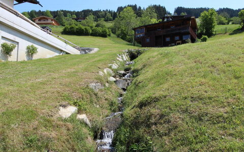 Wildbachl: Ejendom, Naturlige Landskab, Græs, Hus, Landdistrikt, Land Lot, Pasture, Græs-, Sommerhus, Eng
