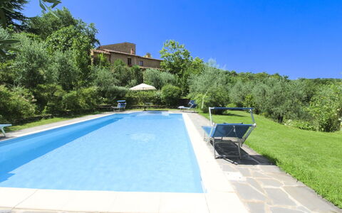 Villa Gioiosa: Svømmepøl, Udvej, Eco Hotel, Udendørs Møbler, Estate, Hacienda, Villa, Backyard, Skygge, Have