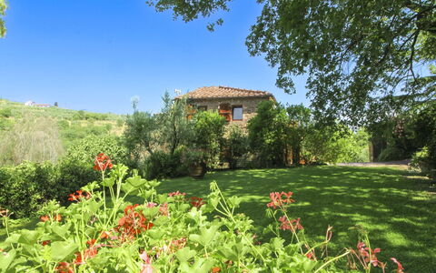 Villa Gioiosa: Grøn, Busk, Sommer, Hus, Landdistrikt, Græs-, Land Lot, Have, Eng