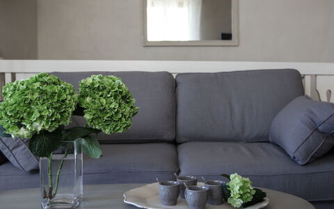 Agave: Grøn, Stue, Møbel, Kaffebord, Værelse, Couch, Indretning, Bord, Ejendom, Væg
