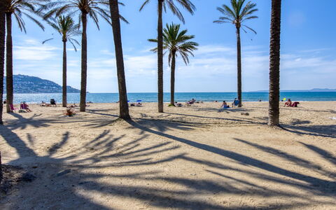 Roses 940: Krop Af Vand, Strand, Kyst, Hav, Coastal Og Oceaniske Landskabsformer, Sommer, Kyst, Ocean, Tropics, Sand