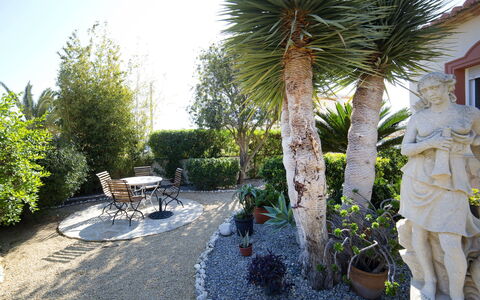 Villa Albert: Ejendom, Træ, Hus, Ejendom, Have, Gård, Backyard, Plante, Palme Træ, Hjem