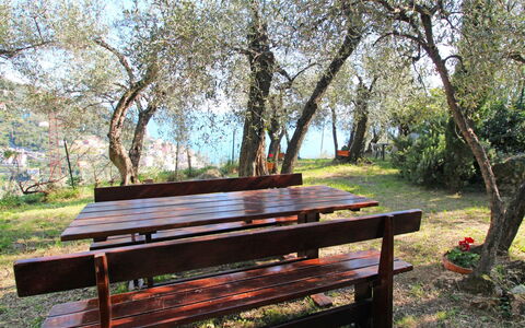 Italo: Udendørs Bench, Plante, Møbel, Picnic Bord, Træ, Træ, Udendørs Møbler, Bord, Skygge
