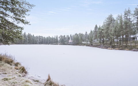 Villa Lakka: Træ, Naturligt Miljø, Natur, Afdeling, Naturlige Landskab, Vinter, Sne, Ødemark, Fryser, Skov