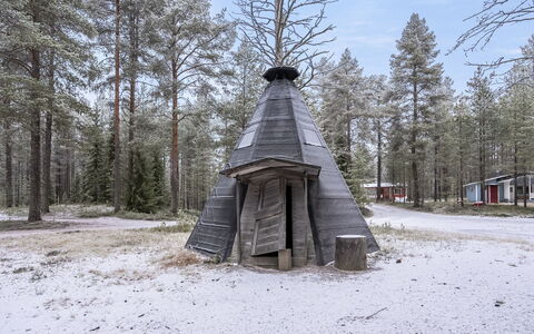 Villa Valokki: Træ, Vinter, Skov, Fryser, Woodland, Lærk, Lund, Sne
