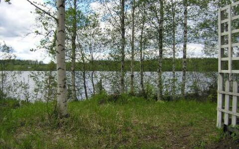 Mariantupa: Træ, Sommerhus, Bjælkehytte, Skov, Skur, Garden Bygninger, Lærk, Woodland, Bejdse