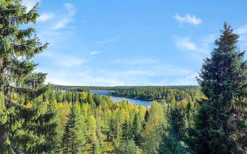 Joutsen a: Blå, Himmel, Grøn, Træ, Natur, Naturligt Miljø, Blad, Naturlige Landskab, Vegetationen, Skov
