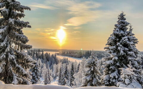 Joutsen a: Himmel, Blå, Vinter, Sne, Afdeling, Træ, Natur, Sol, Solopgang, Solnedgang