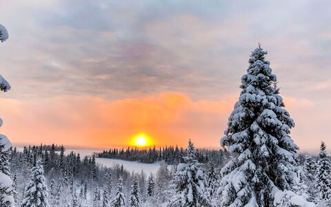 Joutsen a: Himmel, Afdeling, Vinter, Træ, Natur, Sne, Solopgang, Sky, Solnedgang, Afterglow