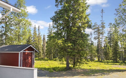 Ruka Snow and Sun 4: Himmel, Træ, Grøn, Land Lot, Lærk, Sommerhus, Bagagerum, Vedplante, Skov
