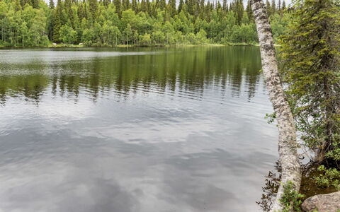 Lupporanta: Vandressourcer, Vand, Krop Af Vand, Natur, Naturligt Miljø, Naturlige Landskab, Vandløb, Bank, Vandvej, Afspejling