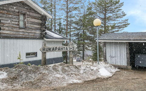 Palokärki: Tag, Sidespor, Fryser, Sommerhus, Vinter, Hældning, Sne, Dagslys