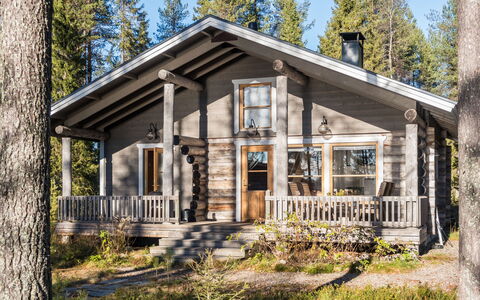 Putilanranta: Træ, Sommerhus, Hjem, Bjælkehytte, Sidespor, Hårdttræ, Veranda, Woodland, Lærk, Planke