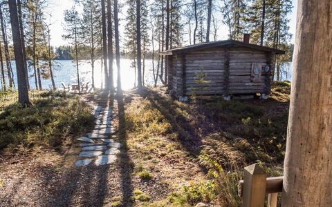 Putilanranta: Træ, Træ, Skov, Woodland, Bagagerum, Bjælkehytte, Lærk, Sommerhus