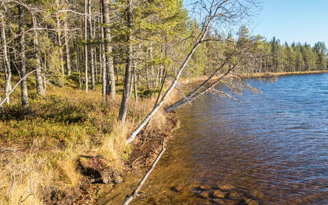 Putilanranta: Vand, Vandressourcer, Krop Af Vand, Natur, Naturligt Miljø, Blad, Naturlige Landskab, Vandvej, Bank, Vandløb