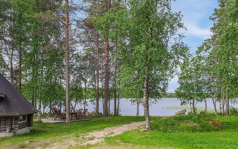 Keloranta: Træ, Græs, Vegetationen, Naturlige Landskab, Land Lot, Sommerhus, Naturreservat, Woodland