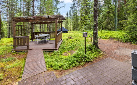 Pelkkaveska: Træ, Skov, Woodland, Lærk, Garden Bygninger, Have, Dæk, Udendørs Struktur, Bjælkehytte
