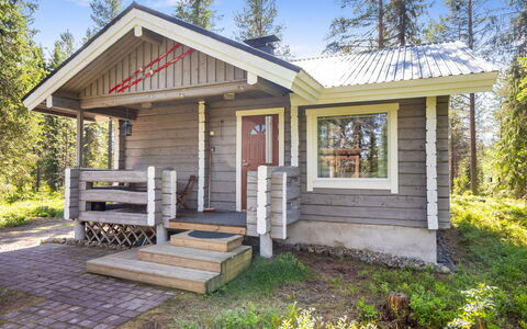 Pelkkaveska: Træ, Sommerhus, Hus, Sidespor, Bjælkehytte, Garden Bygninger, Skur, Lærk, Woodland