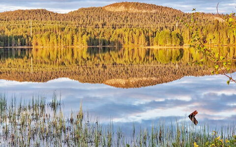 Keloveska: Vand, Vandressourcer, Krop Af Vand, Grøn, Natur, Naturligt Miljø, Naturlige Landskab, Bank, Afspejling, Ødemark