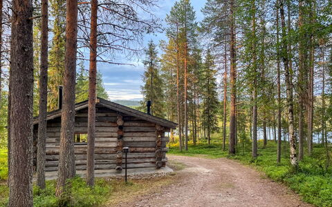 Keloveska: Træ, Træ, Naturlige Landskab, Skov, Landskab, Woodland, Lund, Plantesamfund