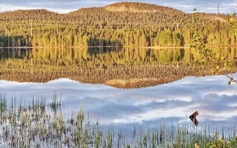 Keloveska: Vand, Vandressourcer, Krop Af Vand, Grøn, Natur, Naturligt Miljø, Naturlige Landskab, Bank, Afspejling, Ødemark