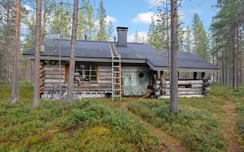 Rukanlumous 1: Sommerhus, Woodland, Bjælkehytte, Lærk, Garden Bygninger, Sidespor, Skur, Hytte