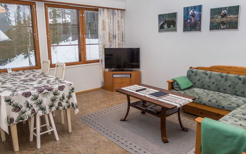 Karhunvartijan Linna B14: Møbel, Indretning, Træ, Gulvbelægning, Etage, Loft, Værelse, Couch, Stue, Lejlighed