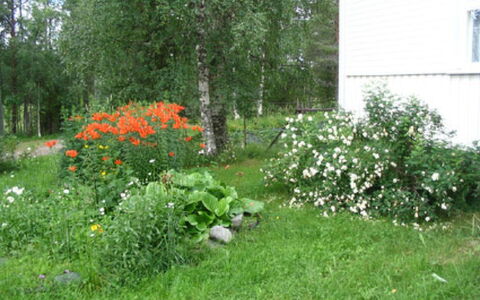 Rantala: Træ, Sidespor, Sommerhus, Hus, Hjem, Planke, Garden Bygninger, Bjælkehytte, Hårdttræ, Veranda