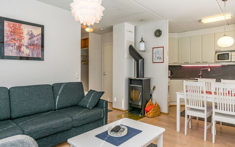 Karhunvartijan Kota B1: Møbel, Indretning, Gulvbelægning, Træ, Etage, Loft, Couch, Værelse, Stue, Lysarmatur