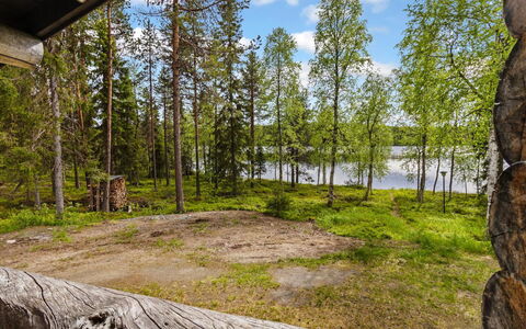 Kuontijärvi B: Træ, Træ, Vegetationen, Naturlige Landskab, Skov, Plantesamfund, Ødemark, Woodland, Bagagerum, Lund